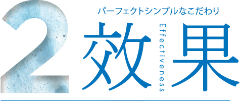 2.効果 Effectiveness