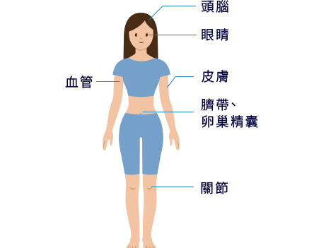 頭腦、眼睛、皮膚、臍帶、卵巢精囊、關節、血管