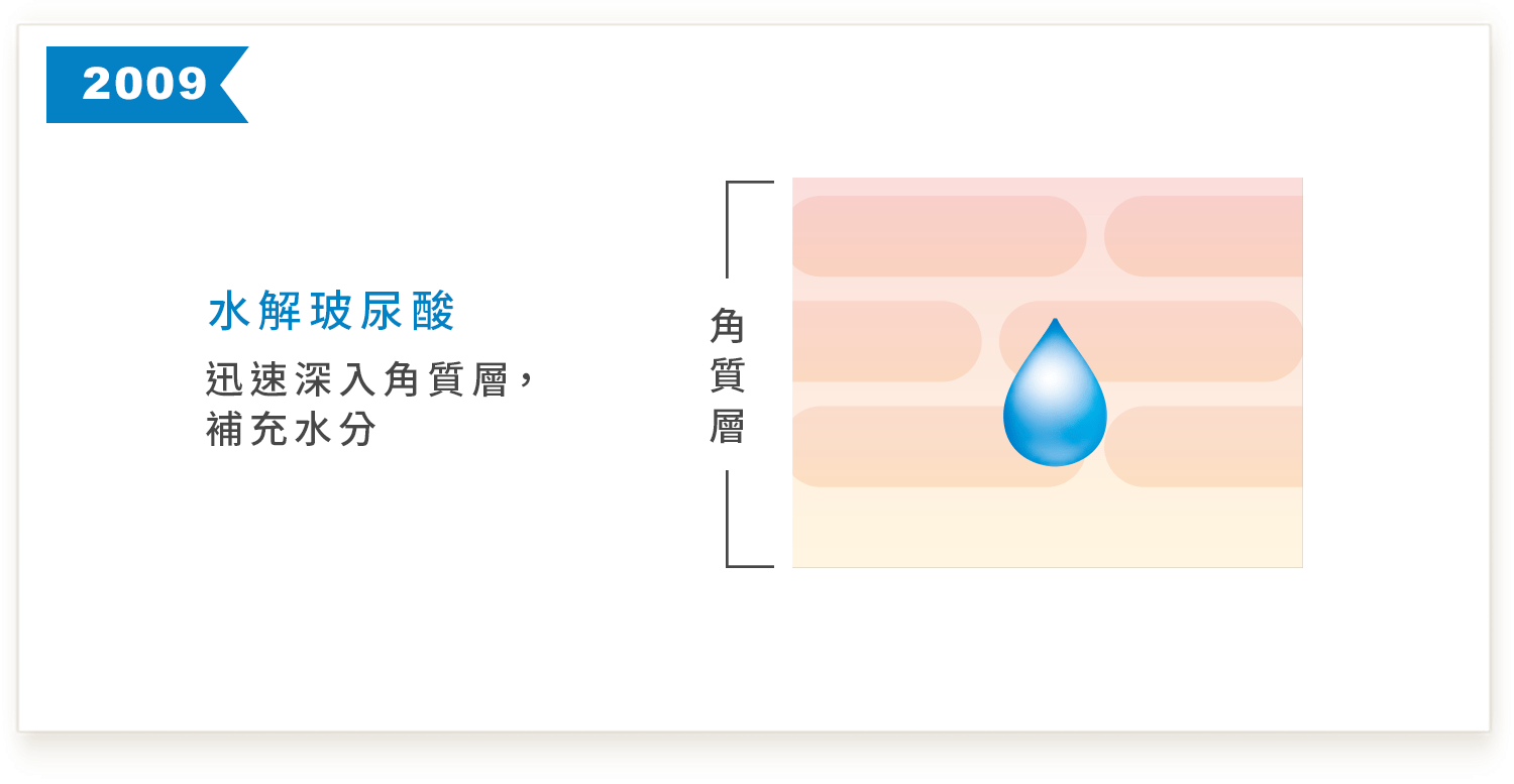 2009年 水解玻尿酸