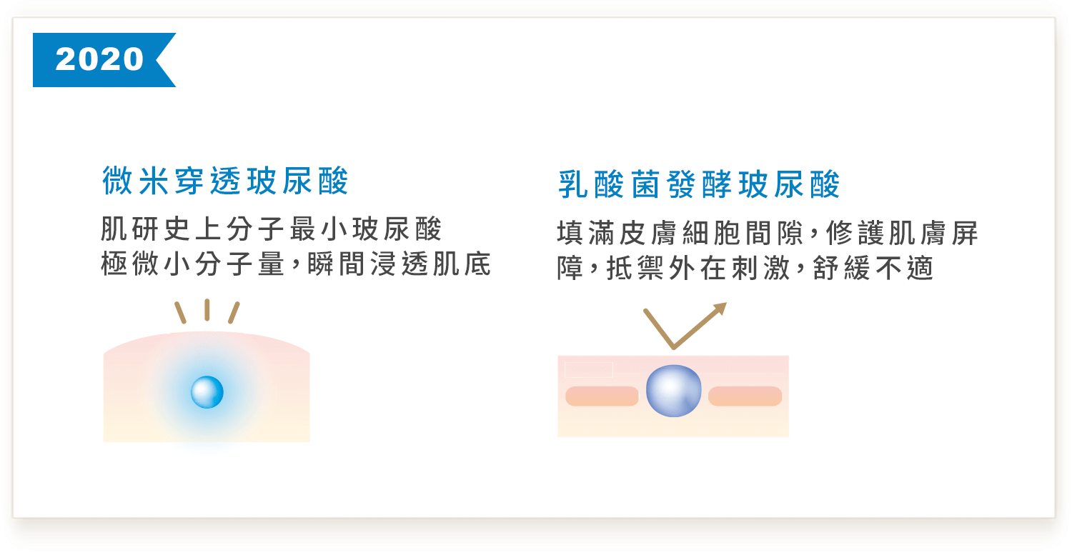 2020年 微米穿透玻尿酸&乳酸菌發酵3D玻尿酸